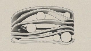 Goud 3D printen3D Design fur ring3D Design for golden ring