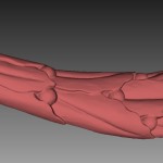 3D scan ornament waagtoren